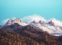 世界杯官方网站-哀悼，7名塞萨洛尼基球迷在前往看欧联杯路上遇车祸去世